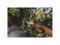 Секатор плоскостной металлический FISKARS Plus P531