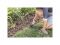Ножницы для травы GS21 Solid FISKARS