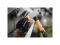 Насадка-очиститель для желобов QuikFit FISKARS