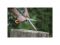 Пила садовая SW73 Xtract FISKARS