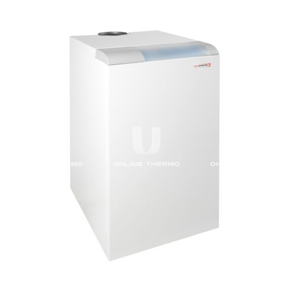 Напольный чугунный газовый котел Protherm Медведь (Bear) 40 TLO 40TLOR15, одноконтурный, открытая камера, 35 кВт