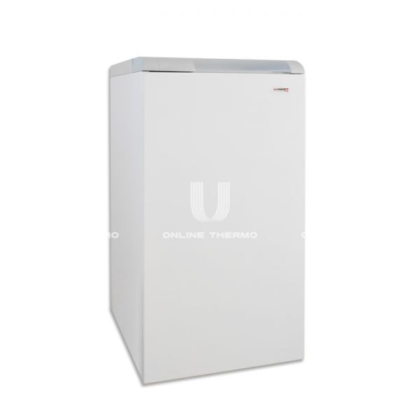 Напольный чугунный газовый котел Protherm Медведь (Bear) 40 TLO 40TLOR15, одноконтурный, открытая камера, 35 кВт