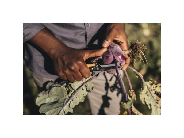 Нож садовый складной K80 X-series FISKARS