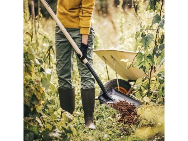 Лопата совковая с дер. черенком FISKARS