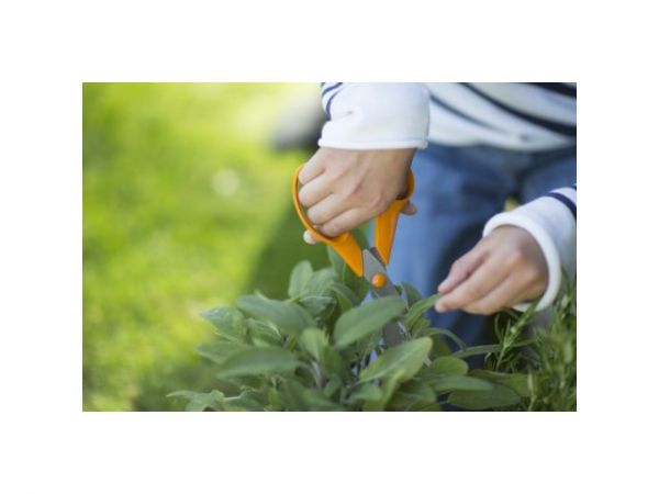 Ножницы садовые 21см FISKARS универсальные