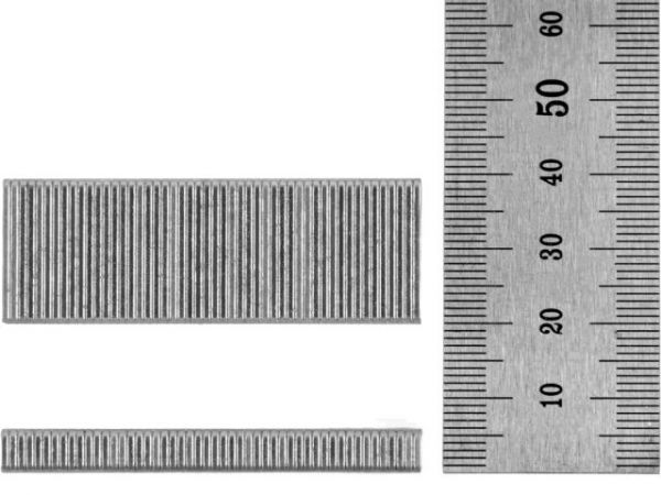 Скобы тип 19GA 20 мм WORTEX (1000 шт.) для NG 1830