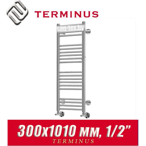 Полотенцесушитель лесенка Terminus "Аврора" П20 300х1010 (1/2")