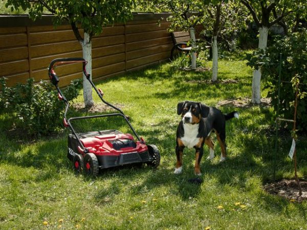 Аэратор-скарификатор WORTEX CAE 3736 ALL1 XLT SET БЕСЩЁТ.ДВИГ., 18В+18В, шир. 37 см(2 4Ач акб, зу, вал для аэрации, вал для скарификации, 5 рег.высоты, 45 л травосборник)