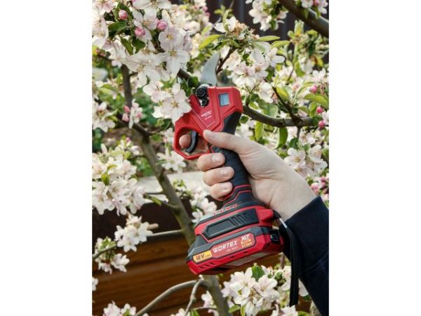 Аккум. секатор WORTEX CBS 2030 в кор. ALL1 SET, БЕСЩЕТ., 18 В, ветки до 28 мм + телескоп. штанга(3 ступени регулировки, 0,76 кг)